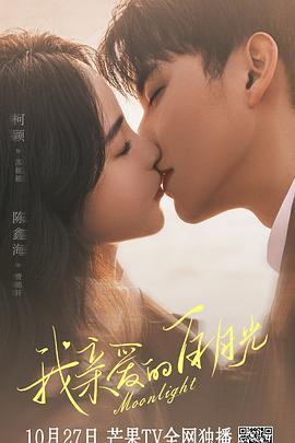 山东seo优化程序